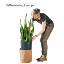 My City Plants Yucca Plant Trendcover 32 - Dark Cork