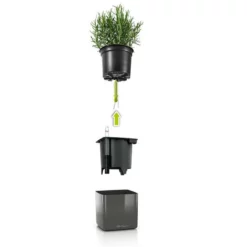 My City Plants Money Tree Cube Glossy 14 - Red Medium/Small Plants 1' - 2'