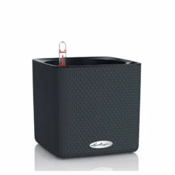 My City Plants Sales Store 20 Lechuza Cube 16 Color Planter - Slate