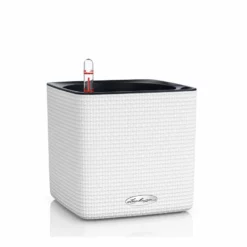 My City Plants Sales Store 16 Lechuza Cube 16 Color Planter - White