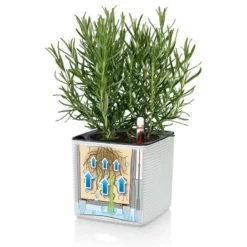 Lechuza Cube 16 Color Planter - Slate