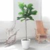 My City Plants Fiddle Leaf Fig Tree Classico Extra Large Plants 5' - 8' 2 My City Plants Fiddle Leaf Fig Tree Classico Extra Large Plants 5' - 8'