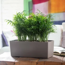 Lechuza Balconera Color 50 Planter - Nutmeg Desk Planters