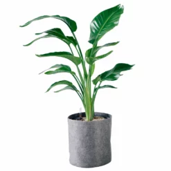 My City Plants Bird Of Paradise Plant Trendcover 32 - Dark Gray Extra Large Plants 5' - 8'