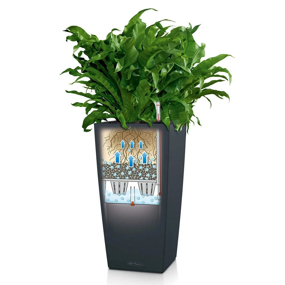 Lechuza Cubico Color 30 (12" D) Planter - Slate Floor Planters 7 Lechuza Cubico Color 30 (12" D) Planter - Slate Floor Planters