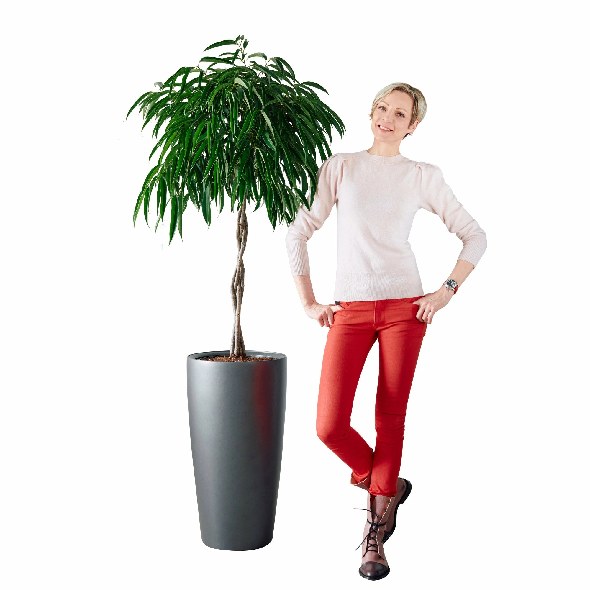 My City Plants Ficus Alli Rondo 40 - Charcoal Metallic 4 My City Plants Ficus Alli Rondo 40 - Charcoal Metallic