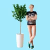My City Plants Extra Large Plants 5' - 8' Ficus Moclame Rondo - White