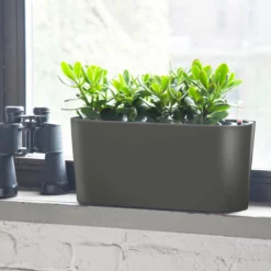 My City Plants Jade Plant Windowsill Charcoal Metallic Medium/Small Plants 1' - 2'