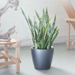 Lechuza Classico LS 35 (14" D) Planter - Charcoal Metallic