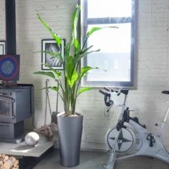 Lechuza Delta 40 (15.4