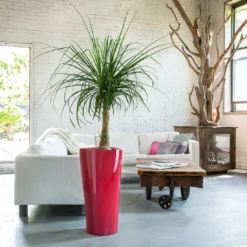 Floor Planters Lechuza Delta 40 (15.4" D) Planter - Scarlet Red