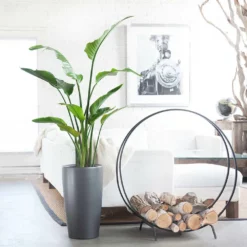 Lechuza Rondo 40 (15.8" D) Planter - Charcoal Metallic