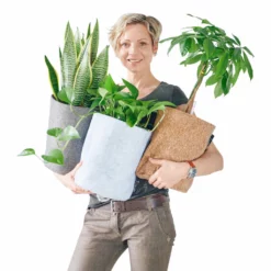 Desk Planters Lechuza Trendcover 23 Planter - Light Gray