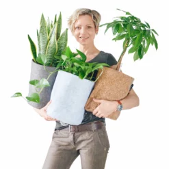 Lechuza Trendcover 23 Planter - Dark Gray Desk Planters