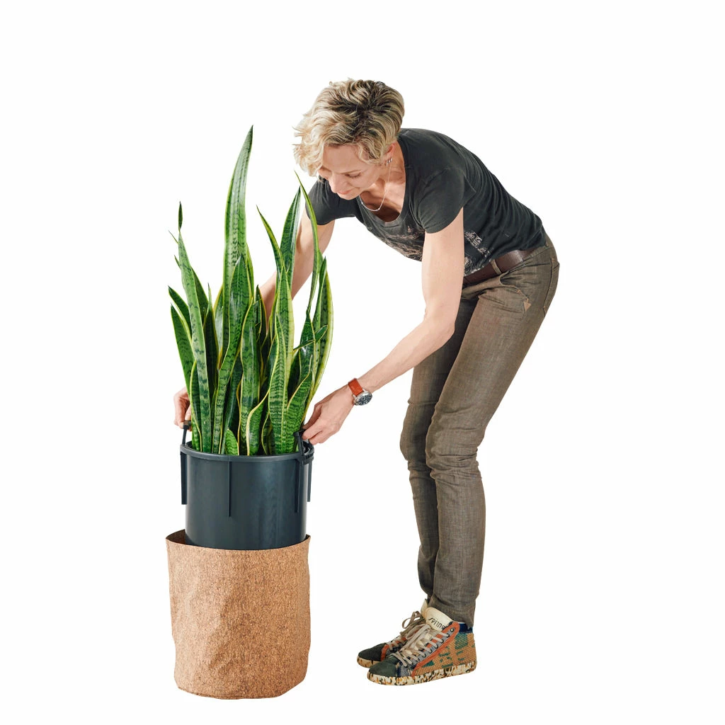 Lechuza Trendcover 32 Planter - Dark Cork Floor Planters 4 Lechuza Trendcover 32 Planter - Dark Cork Floor Planters