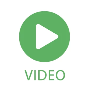 My City Plants Medium/Small Plants 1' - 2' Money Tree Classico Mini White 4 My City Plants Medium/Small Plants 1' - 2' Money Tree Classico Mini White