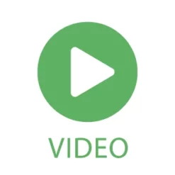 My City Plants Sansevieria Classico Charcoal Metallic