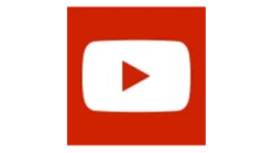 My City Plants Large Plants 3' - 5' Rubber Plant Bush Rondo - Charcoal Metallic