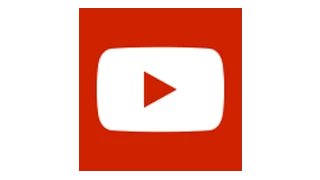 My City Plants Sansevieria Rustico Graphite Black Low Light Plants 4 My City Plants Sansevieria Rustico Graphite Black Low Light Plants