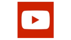 My City Plants Medium/Small Plants 1' - 2' ZZ Plant Classico Mini Charcoal Metallic 7 My City Plants Medium/Small Plants 1' - 2' ZZ Plant Classico Mini Charcoal Metallic