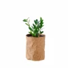 My City Plants Medium/Small Plants 1' - 2' ZZ Plant Trendcover 23 - Dark Cork