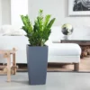 My City Plants ZZ Plant Cubico Slate